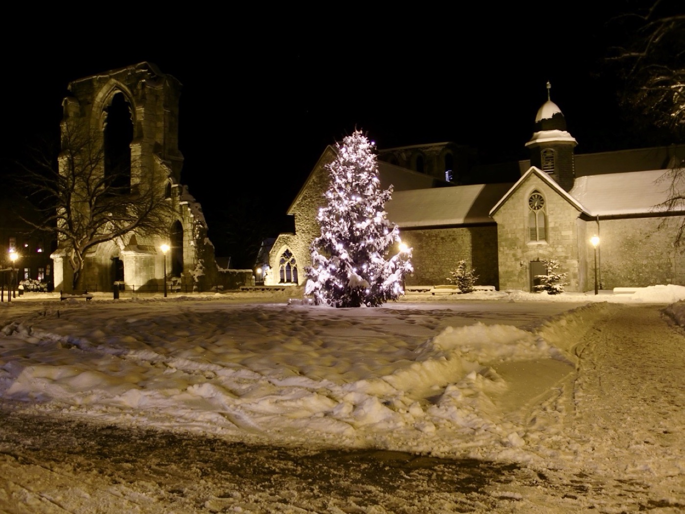 Kloster Walkenried im Winter mit Schnee und Weihnachtsbaum – Adventszeit im Südharz