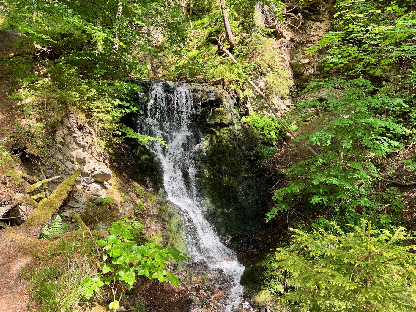 Zorger Wasserfall – Stopp auf einer Motorradtour im Harz