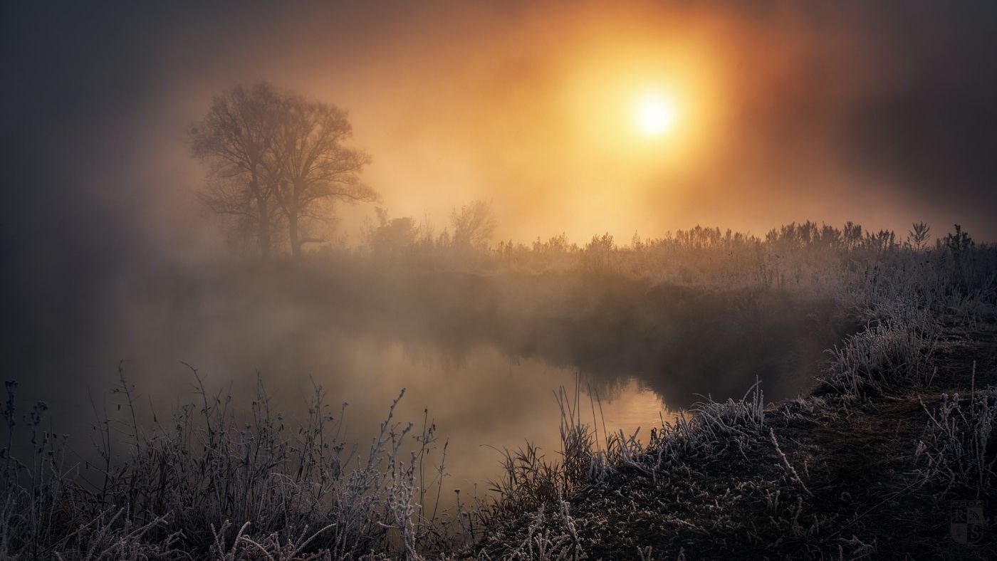 Mystische Nebelstimmung im Harz – Teich bei Sonnenaufgang mit kahlen Bäumen