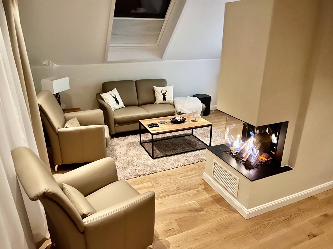 Ferienwohnung Holiday 2 Walkenried – Wohnzimmer mit Harzblick und Kamin